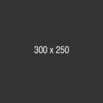 300×250