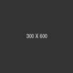 300x600Skyscrpr