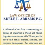 AdeleAbrams_SKYSCRAPER_300x600_1114