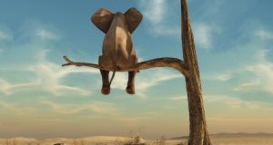 7 Steps for Solving Business Problems 7 Steps for Solving Business Problems