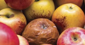 Detoxification: Handling A Toxic Employee