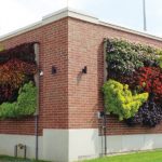 ENV_LiveWall_02