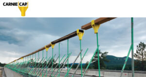 Rebar Cap System