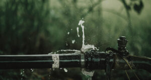 Detection for Protection