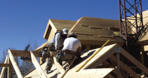 Evolution of Plywood