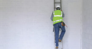 Ladder Training and Citations