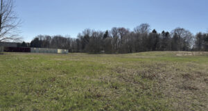 Native Plant Restoration Project