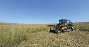 From Dense Brush to Open Fields