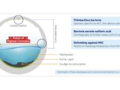 Extending the Life of Concrete Sewers
