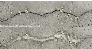The Facts about Self-Healing Concrete